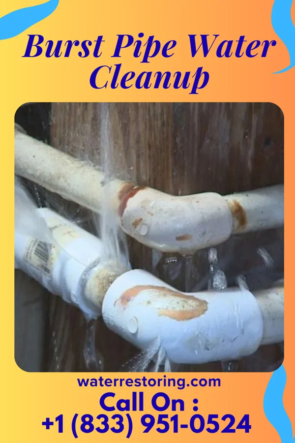 Burst Pipe Water Cleanup in Hamilton, IN