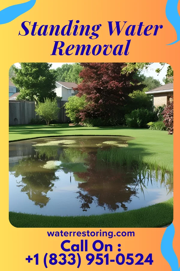 Standing Water Removal in Hamilton, IN